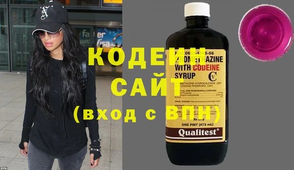 хмурый Верея