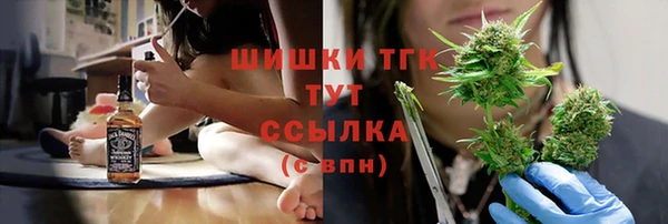 хмурый Верея