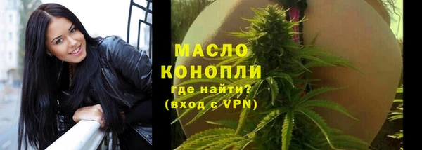 гидра Володарск