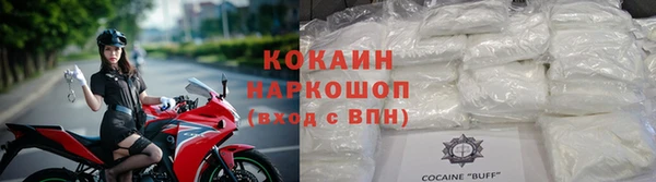 гидра Володарск