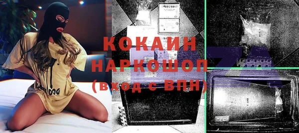 хмурый Верея