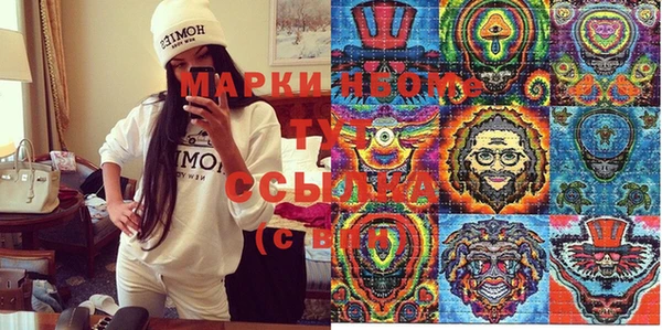хмурый Верея