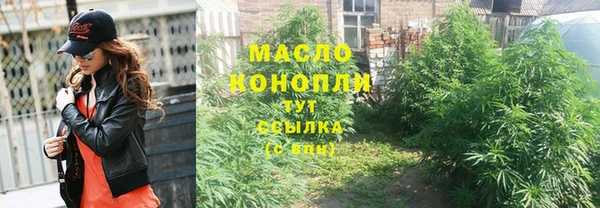 хмурый Верея