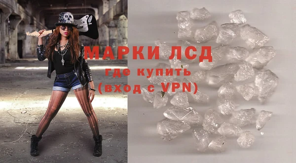 гидра Володарск