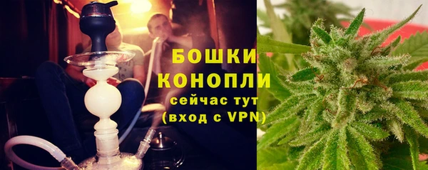 хмурый Верея