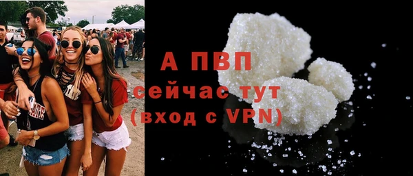 гидра Володарск